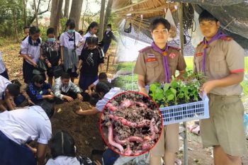 ดินไส้เดือนลูกเสือ ‘Earthworm Scout Soil’ : โดย ​ดร.อาทร จันทวิมล