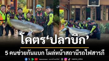 โคตรปลาบึก! หนัก 300 โล 5 คนช่วยกันแบก โผล่หน้าสถานีรถไฟสารภี