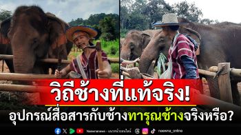 วิถีช้างที่แท้จริง! ฟังชัดๆอีกมุม อุปกรณ์สื่อสารกับช้างทารุณช้างจริงหรือ??