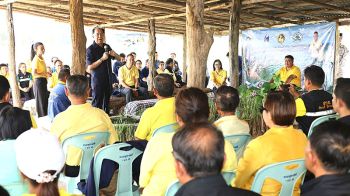 รายงานพิเศษ : สถาบันปิดทองหลังพระฯ ร่วมชาวบ้าน สร้างแหล่งอาหาร ปลูกหญ้าแฝก ต้นกล้วย ต้นยางนา และปล่อยพันธุ์ปลา