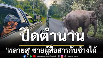 ปิดตำนาน \'พลายสุ\' ชายผู้สื่อสารกับช้างได้ อช.เขาใหญ่ แจงไม่ได้โยกย้าย แต่ลาออกเอง