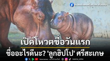 ชื่ออะไรดีนะ? เปิดโหวตวันแรก \'ลูกฮิปโป\' ศรีสะเกษ