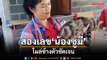 ส่องเลข \'น้องซูมี่\' ตัวเลขโผล่ข้างตัวชัดมากเจ้าของเผยให้โชคมาหลายครั้ง