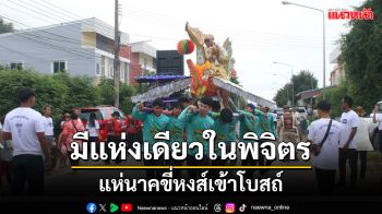 \'ขี่หงส์บวชนาค\'เอกลักษณ์แห่งเดียวในพิจิตร แฝงคติธรรมเรื่องความอดทนสามัคคีในชุมชน