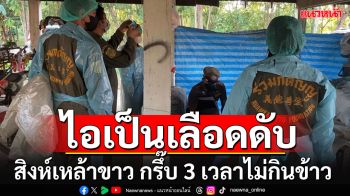 สิงห์เหล้าขาว ไม่เชื่อคำเตือนหมอ ยังแอบไปกรึ๊บ สุดท้ายไอเป็นเลือดดับสลด