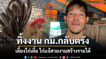 หนุ่มใหญ่นัก กม.ลากรุงกลับบ้านเกิดที่ตรังเลี้ยงไก่เตี้ยไก่แจ้สวยงามมีรายได้หลักหมื่นต่อเดือน