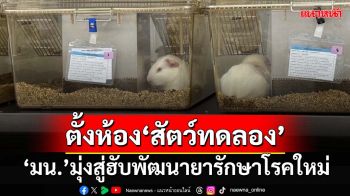 ‘ม.นเรศวร’ตั้งห้องปฏิบัติการ‘สัตว์ทดลอง’ ผุดงานบริการ‘วิจัยยา’มุ่งสู่ฮับพัฒนายารักษาโรคใหม่อาเซียน