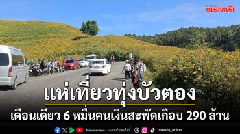 เดือนเดียวทุ่งบัวตองมีนักท่องเที่ยวเยี่ยมชมเกือบ 6 หมื่นคนเงินสะพัดเกือบ 290 ล้าน