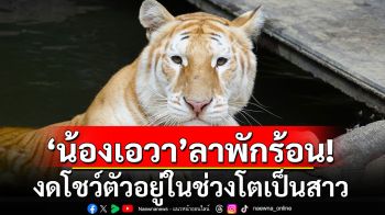 \'น้องเอวา\'ลาพักร้อน! งดโชว์ตัวอยู่ในช่วงวัยเจริญพันธุ์-โตเป็นสาว