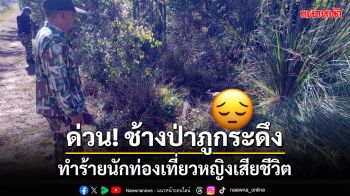 สลด!ช้างป่าภูกระดึงทำร้ายนักท่องเที่ยวหญิงเสียชีวิต อช.ภูกระดึง