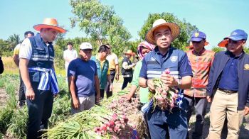 \'พาณิชย์\'ลงพื้นที่ติดตามหอมแดงศรีสะเกษ พร้อมขนทัพผู้ส่งออก-ผู้ประกอบการเข้าซื้อเต็มสูบ