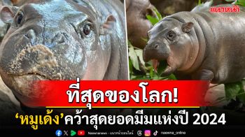 ที่สุดของโลก! ซุป\'ตาร์\'หมูเด้ง\'คว้าสุดยอดมีมแห่งปี2024 สร้างสถิติ7.7ล้านโพสต์บนเอ็กซ์