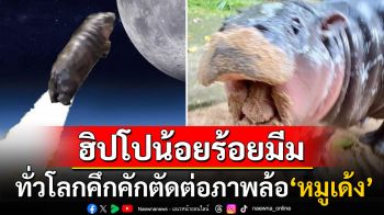 ฮิปโปน้อยร้อยมีม! ซุปตาร์\'หมูเด้ง\'เจ้าของแชมป์ปี2024 ทั่วโลกคึกคักแห่ตัดต่อภาพล้อเลียน