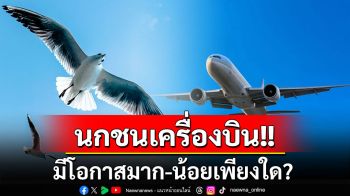 ‘นกชนเครื่องบิน’โอกาสเกิดมาก-น้อยเพียงใด?