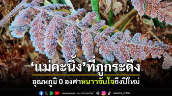 อุณหภูมิ 0 องศา! \'แม่คะนิ้ง\'โผล่วันแรก \'ภูกระดึง\'หนาวจับใจถึงปีใหม่