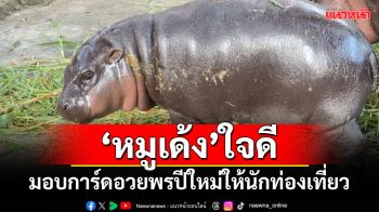 ‘หมูเด้ง’ใจดี! มอบการ์ดอวยพรปีใหม่ให้นักท่องเที่ยว