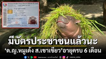 มีบัตรประชาชนแล้วนะ! \'ด.ญ.หมูเด้ง ส.เขาเขียว\'อายุครบ 6 เดือน ชาวเน็ตแห่เมนต์แซว