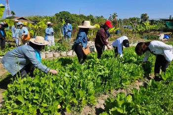 สสส.-มช. เดินหน้าโครงการ \'Chiang Mai Greentopia\' ต้นแบบอาหารเกษตรอินทรีย์เพื่อสุขภาวะ