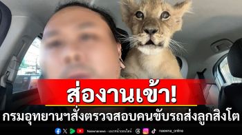 งานเข้า! กรมอุทยานฯสั่งตรวจสอบหนุ่มรีวิวส่ง\'ลูกสิงโต\' ล่าสุดเจ้าตัวลบโพสต์เจ้าปัญหาแล้ว