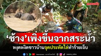 \'ช้างสีดอ\'หลังขึ้นจากสระน้ำ ทำร้ายชาวบ้าน2รายเจ็บ เพราะจุดประทัดไล่