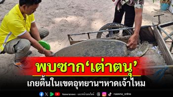 พบซาก\'เต่าตนุ\'เพศผู้ เกยตื้นในเขตอุทยานฯหาดเจ้าไหม