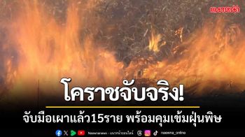 โคราชจับมือเผาแล้ว15ราย พร้อมประกาศยกระดับคุมเข้มฝุ่นPM2.5หลังเกินค่ามาตรฐาน