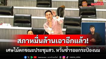 สภาหมื่นล้านเอาอีกแล้ว! สว.ประชุมด้วยความระทึก เศษไม้ตกใส่ หวั่นซ้ำรอยกระป๋องนม