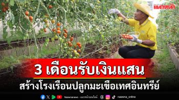 ชาวโพธารามใช้พื้นที่ 8 คูณ 20 เมตรปลูกมะเขือเทศอินทรีย์ 3 เดือนรับเงินแสน