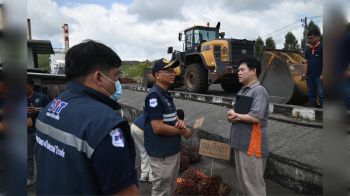 พาณิชย์ ติดตามสถานการณ์ปาล์มน้ำมันแหล่งเพาะปลูกสำคัญรับมือฤดูกาลเก็บเกี่ยว ปี 2568