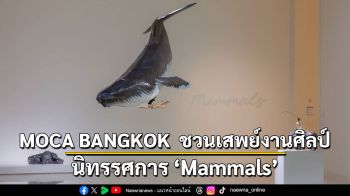 MOCA BANGKOK  ชวนเสพย์งานศิลป์กับนิทรรศการ ‘Mammals’ สะท้อนความหมายถึงกันและกันระหว่าง ‘สตรี’ และ ‘สัตว์เลี้ยงลูกด้วยนม’