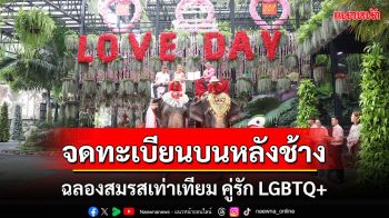 ปีแรก! สวนนงนุชพัทยา จัดจดทะเบียนบนหลังช้าง ฉลองสมรสเท่าเทียม คู่รัก LGBTQ+