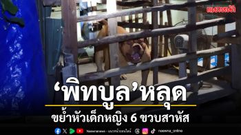 \'พิทบูล\' หลุดลากเด็กหญิงวัย 6 ขวบจากเตียงขย้ำกัดกระชากหนังหัวสาหัส