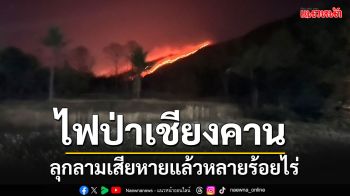 ไฟป่าเชียงคาน เปลวเพลิงแดงไปทั้งภูเขา ล่าสุดพบเสียหายแล้วหลายร้อยไร่