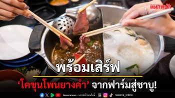 จากฟาร์มสู่ชาบู! เนื้อโคขุนโพนยางคำ GI สกลนคร เสิร์ฟความอร่อยทั่วประเทศ