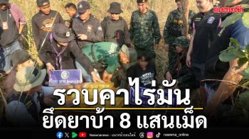 ‘ตม.อุบลราชธานี’ร่วมแถลงจับ‘ยาบ้า’800,000 เม็ด รวบขบวนการคาไร่มัน