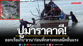 ปูม้าราคาดี! ประมงพื้นบ้านออกเรือเก็บ ‘อวนปู’ ก่อนที่กลางทะเลมีคลื่นลมแรง