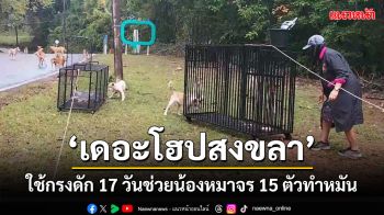 เดอะโฮปสงขลาใช้ความอดทน 17 วันช่วย\'น้องหมาจร\' 15 ตัวทำหมันโดยใช้กรงดัก