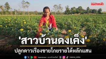 \'สาวบ้านดงเค็ง\'ไม่ท้อเคยถูกหลอกไปทำงาน ตปท.สูญเงินแสนหันปลูกดาวเรืองขายรายได้งาม