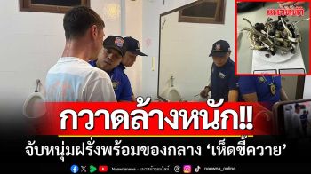 กวาดล้างหนัก!! บุกจับหนุ่มฝรั่งกลาง ‘ฟูลมูนปารตี้’ พร้องของกลาง ‘เห็ดขี้ควาย’