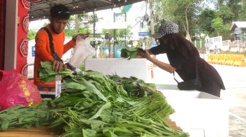 รายงานพิเศษ : ‘เนื้อที่แค่ 1 ไร่เศษ’ หนุ่มเบตงปลูก ‘ผักออร์แกนิค’ ขายออนไลน์  เปิดแผงขายสร้างรายได้ 2-3 หมื่นบาทต่อเดือน