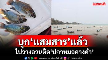 \'ปลาหมอคางดำ\'บุกทะเลแสมสาร ชาวประมงวางอวนติดครึ่งกิโลฯ จี้แก้ไขปัญหาเร่งด่วน