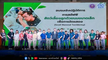 NSM จัดอบรม “การสตัฟฟ์สัตว์เลี้ยงลูกด้วยนมขนาดเล็ก” พัฒนาทักษะพร้อมยกระดับบุคลากรด้านการสตัฟฟ์สัตว์อย่างมืออาชีพ