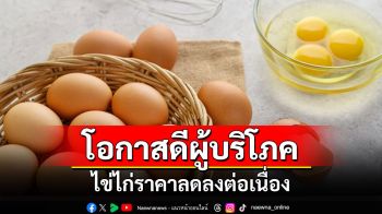 ไข่ไก่ราคาลดลงต่อเนื่องสวนทางต้นทุน โอกาสดีผู้บริโภค