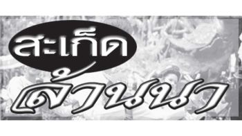 สะเก็ดล้านนา : 30 เมษายน 2568