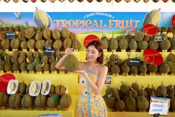 สยามพารากอน เปิดประสบการณ์สุดพิเศษกับฤดูผลไม้เมืองร้อน ‘ที่สุดของผลไม้ไทย’ จากทั่วประเทศ จัดเต็มทุเรียนหายาก 40 สายพันธุ์