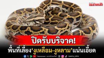 \'สวนงูสถานเสาวภา\'ประกาศงดรับบริจาค\'งูเหลือม-งูหลาม\' หลังพื้นที่เลี้ยงแน่นเอี้ยด