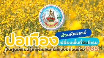 \'ปอเทือง\'พืชมหัศจรรย์ ปรับปรุงดินที่เคยเสื่อม สู่การฟื้นฟูดินอย่างยั่งยืน
