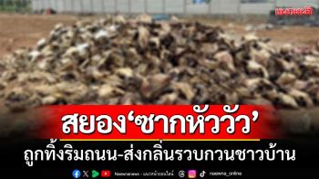 สุดสยอง! ‘ซากหัววัวจำนวนมาก’ ถูกทิ้งริมถนน-ส่งกลิ่นรวบกวนชาวบ้าน