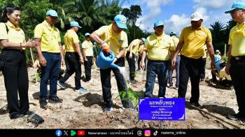 ม.เกษตร ร่วมกับจังหวัดกระบี่ จัดกิจกรรมจิตอาสาปลูกป่าเฉลิมพระเกียรติ