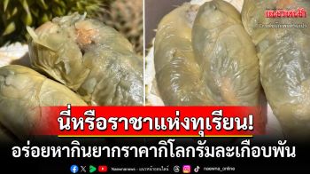 ชาวเน็ตถึงกับร้องยี้! หลังเห็น\'ราชาแห่งทุเรียน\'พันธุ์หายาก ราคาพุ่งกิโลละเฉียดพัน